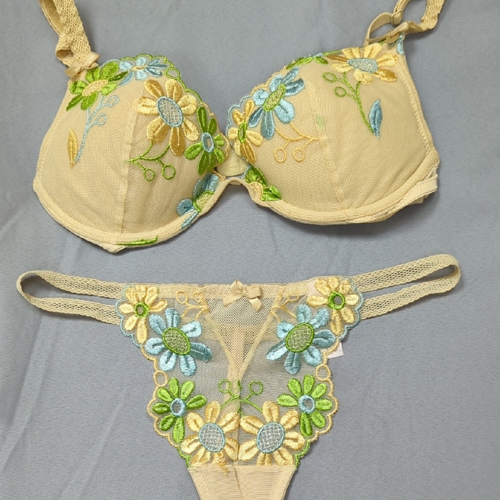 Victoria's Secret Floral Embroidered Lingerie Bra And Panty Set Size 34B